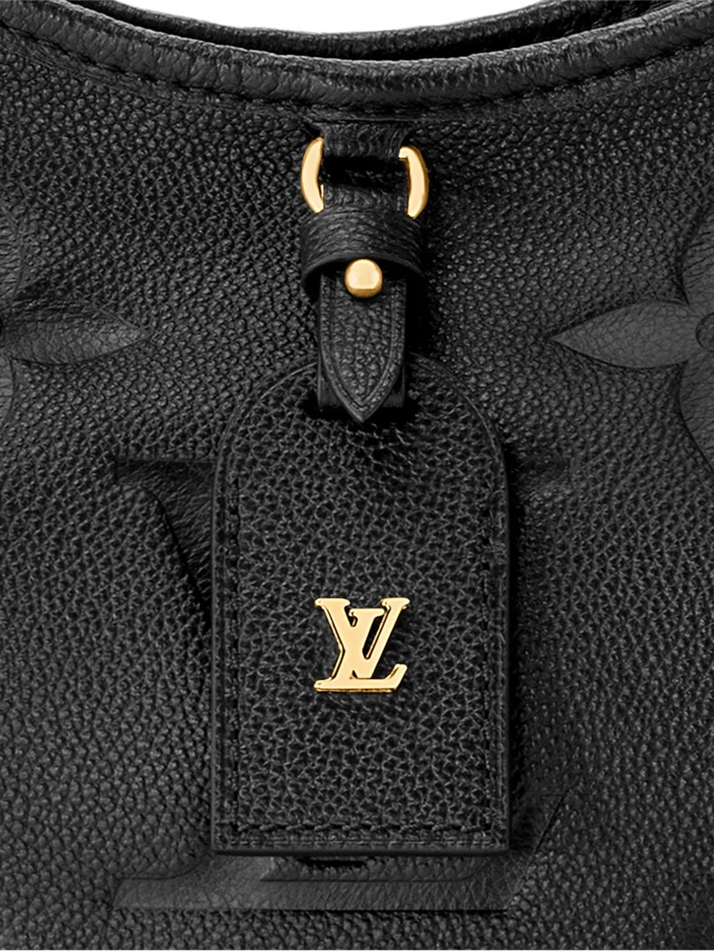 Louis Vuitton CarryAll PM - Picture 5 of 14
